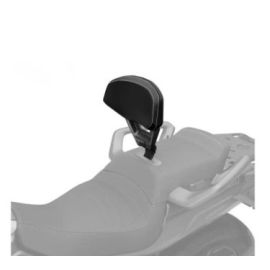 Driver Backrest