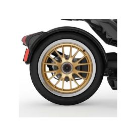 Circuit Rear Wheel - Liquid Gold