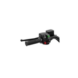 Integrated Heated Grips & Thumb Throttle Combo