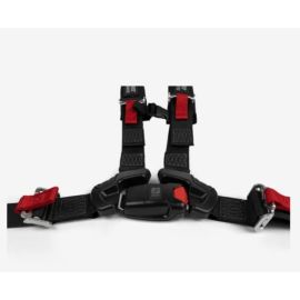 4-Point Harness - passenger