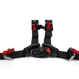 4-Point Harness