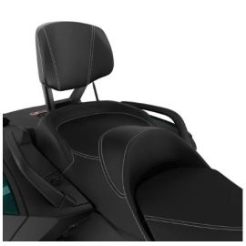 LinQ Passenger Backrest