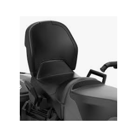 PASSENGER SEAT WITH BACKREST 